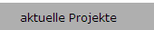 aktuelle Projekte